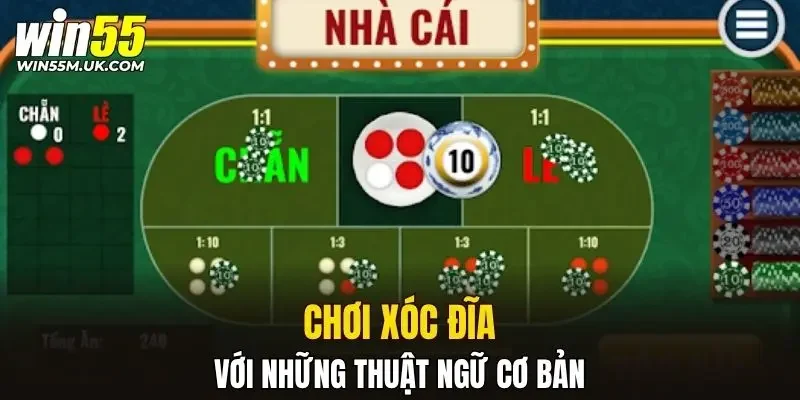 Cách chơi xóc đĩa với những thuật ngữ cơ bản