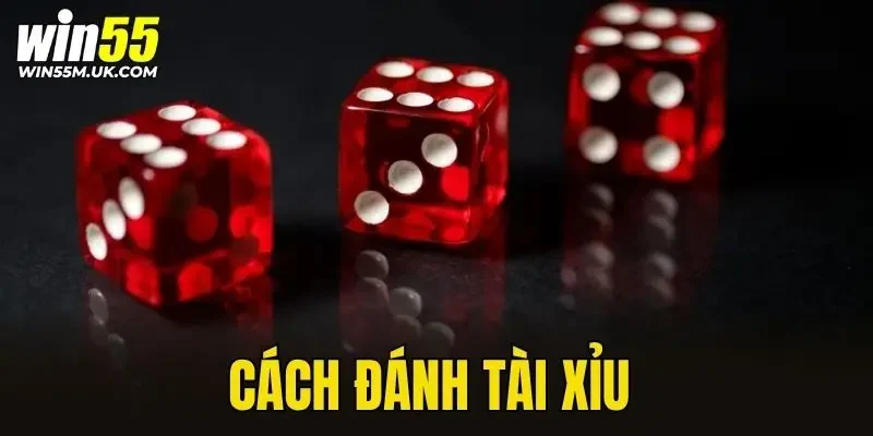 Cách Đánh Tài Xỉu
