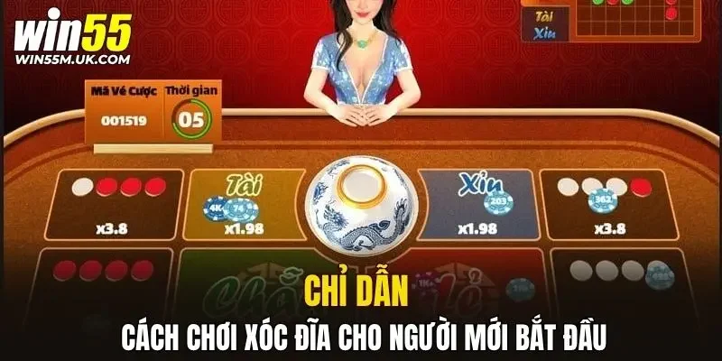 Chỉ dẫn cách chơi xóc đĩa cho người mới bắt đầu