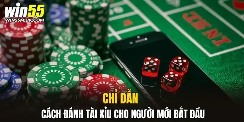 Chỉ dẫn cách đánh tài xỉu cho người mới bắt đầu