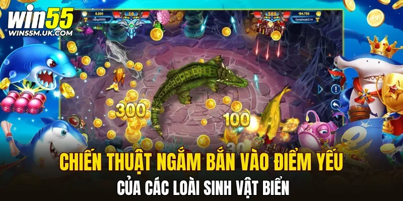Chiến thuật ngắm bắn vào điểm yếu của các loài sinh vật biển