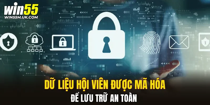 Dữ liệu hội viên được mã hóa để lưu trữ an toàn