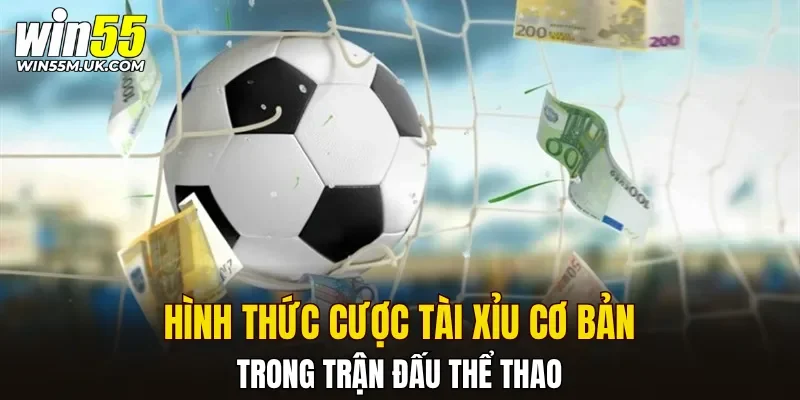 Hình thức cược tài xỉu cơ bản trong trận đấu thể thao