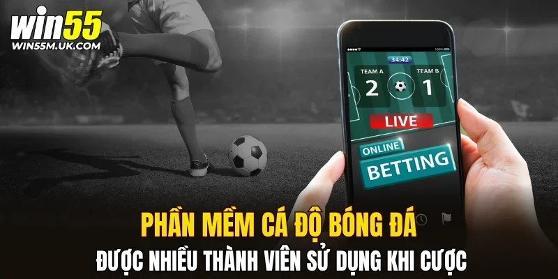 Phần mềm cá độ bóng đá được nhiều thành viên sử dụng khi cược