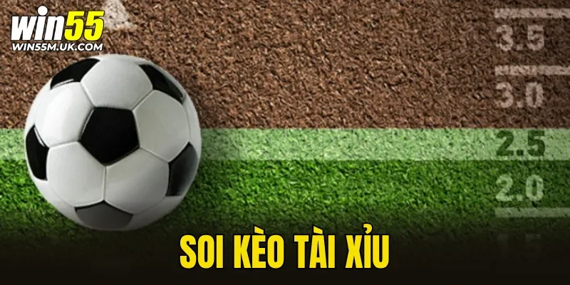 Soi Kèo Tài Xỉu